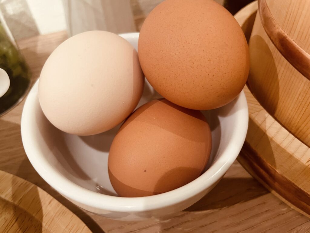 池袋西口　ヒャ/とろり。　季節の肉豆腐TKG定食⑩